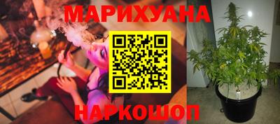 стафф Дубна