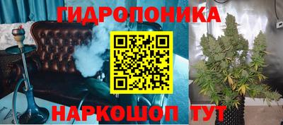 стафф Дубна